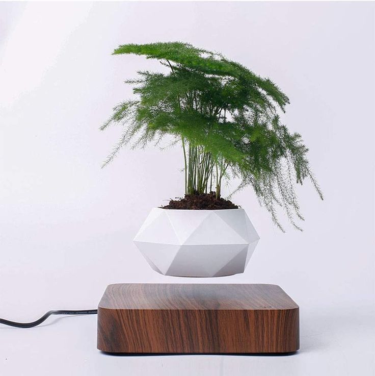 Magnetic Suspension Floating Pot