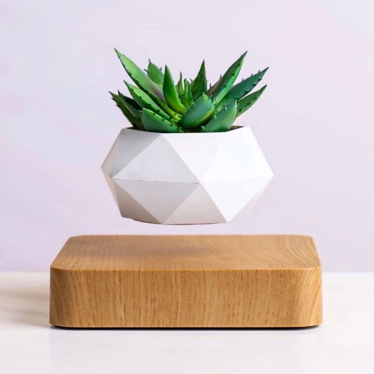 Magnetic Suspension Floating Pot